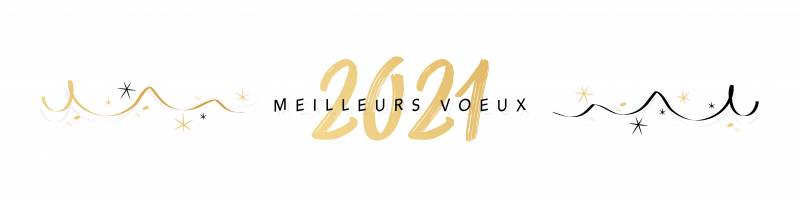 Toutes les équipes GEDIS GROUPE vous souhaitent une excellente année 2021