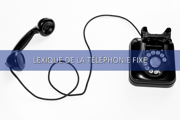 Standard téléphonique professionnel et services associés pour votre entreprise à Thonon Les Bains 74